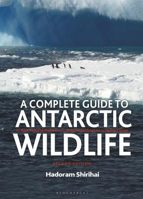 A Complete Guide to Antarctic Wildlife