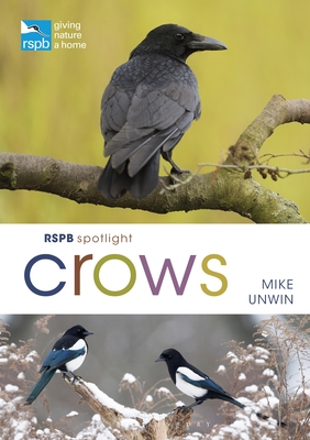 RSPB Spotlight Crows