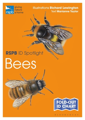 RSPB ID Spotlight - Bees