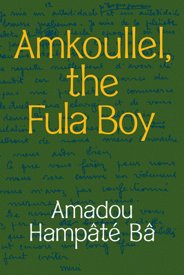 Amkoullel, the Fula Boy