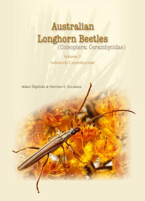 Australian Longhorn Beetles