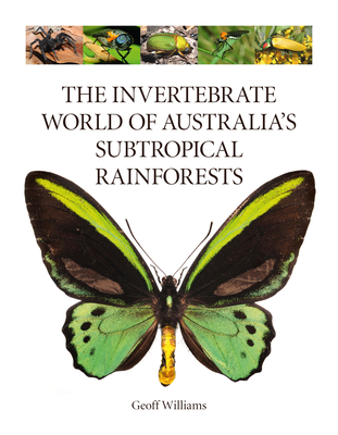 The Invertebrate World of Australia's  Subtropical Rainforests