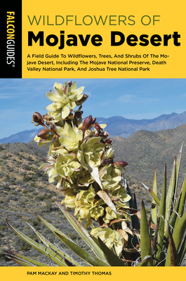 Mojave Desert Wildflowers