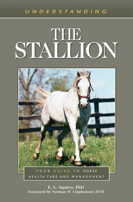 Understanding the Stallion