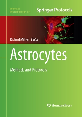 Astrocytes