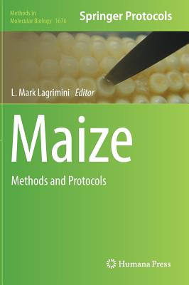 Maize