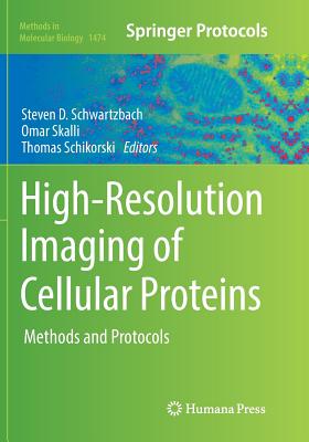 High-Resolution Imaging of Cellular Proteins