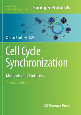 Cell Cycle Synchronization
