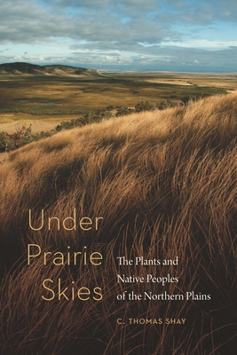 Under Prairie Skies