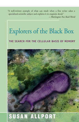 Explorers of the Black Box