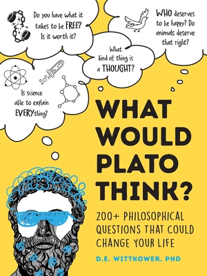 What Would Plato Think?