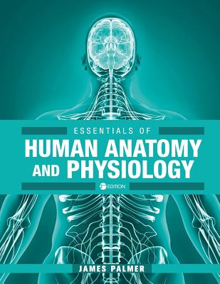 Essentials of Human Anatomy and Physiology