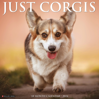 Just Corgis 2024 12 X 12 Wall Calendar