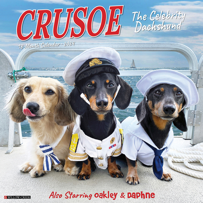 Crusoe the Celebrity Dachshund 2024 12 X 12 Wall Calendar