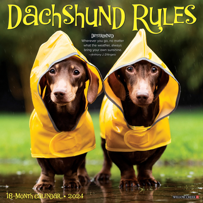 Dachshund Rules 2024 12 X 12 Wall Calendar