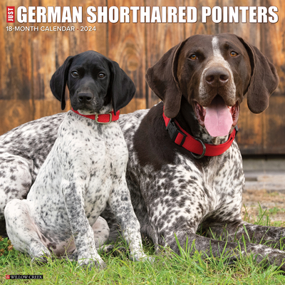 Just German Shorthaired Pointers 2024 12 X 12 Wall Calendar