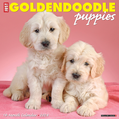 Just Golden Puppies 2024 12 X 12 Wall Calendar