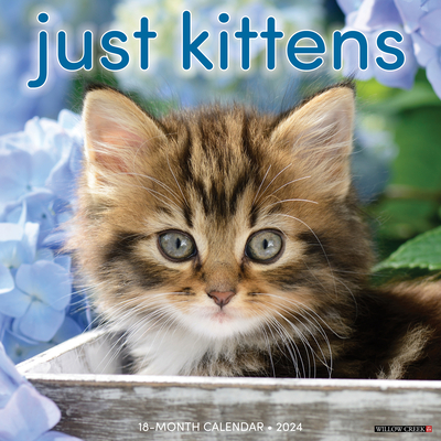 Just Kittens 2024 12 X 12 Wall Calendar