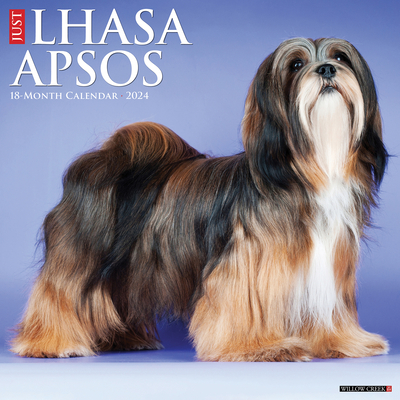 Just Lhasa Apsos 2024 12 X 12 Wall Calendar