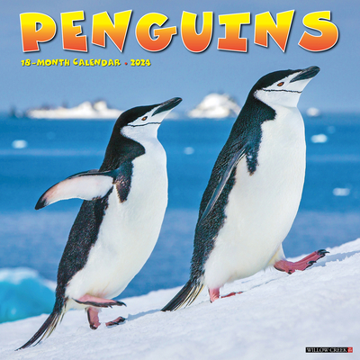 Penguins 2024 12 X 12 Wall Calendar