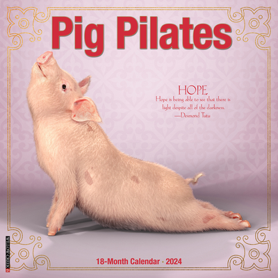 Pig Pilates 2024 12 X 12 Wall Calendar