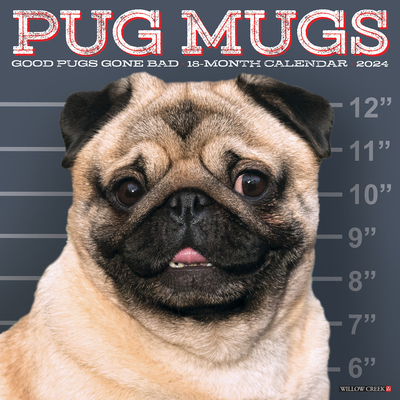 Pug Mugs 2024 12 X 12 Wall Calendar