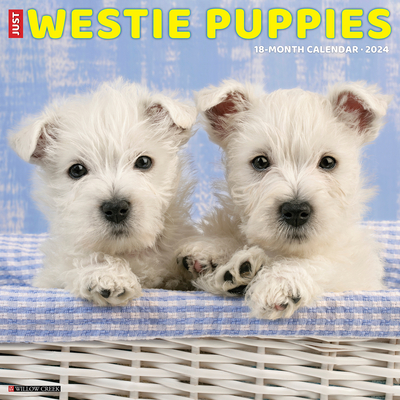 Just Westie Puppies 2024 12 X 12 Wall Calendar