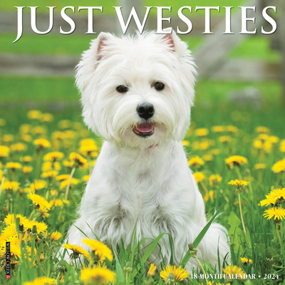 Just Westies 2024 12 X 12 Wall Calendar