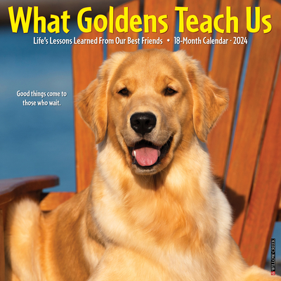 What Goldens Teach Us 2024 12 X 12 Wall Calendar