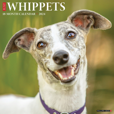 Just Whippets 2024 12 X 12 Wall Calendar