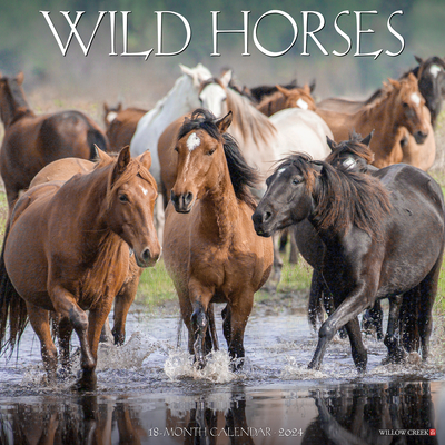 Wild Horses 2024 12 X 12 Wall Calendar