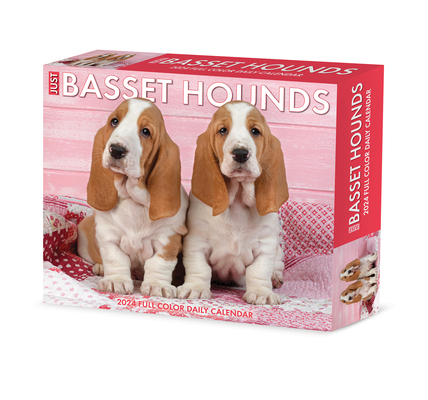 Basset Hounds 2024 6.2 X 5.4 Box Calendar