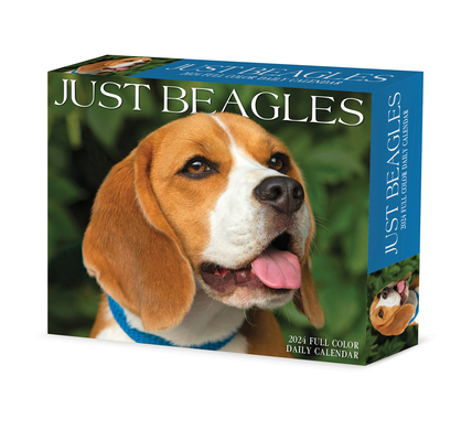 Beagles 2024 6.2 X 5.4 Box Calendar