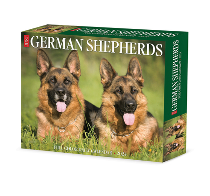 German Shepherds 2024 6.2 X 5.4 Box Calendar