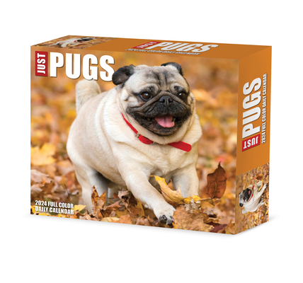 Pugs 2024 6.2 X 5.4 Box Calendar