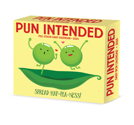 Pun Intended 2024 6.2 X 5.4 Box Calendar