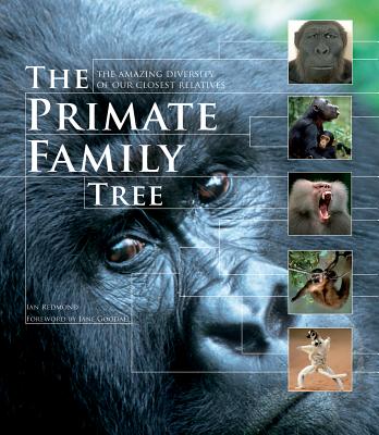 The Primate Family Tree