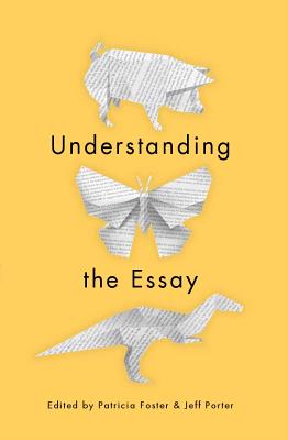 Understanding the Essay