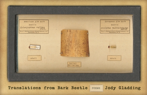 Translations from Bark Beetle