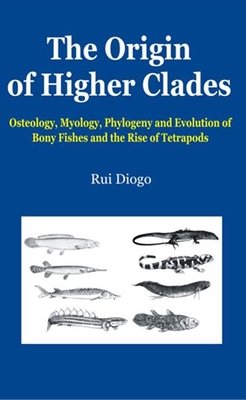 The Origin of Higher Clades