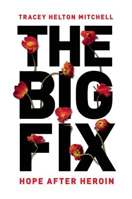 The Big Fix