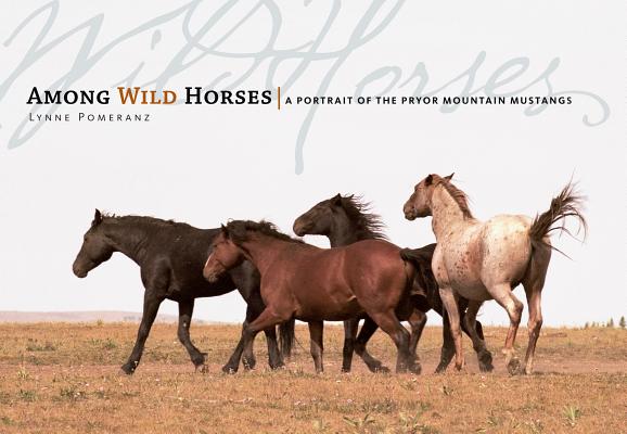 Among Wild Horses