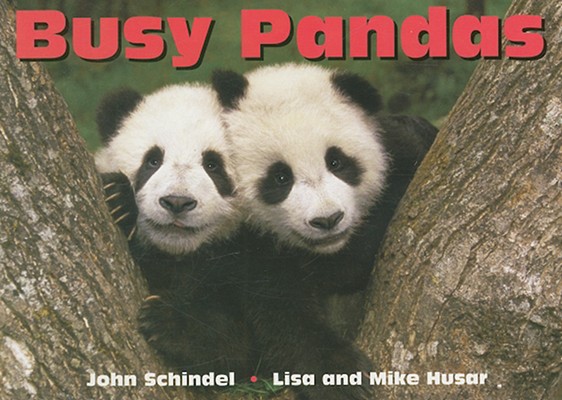 Busy Pandas