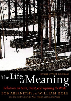 The Life Of Meaning