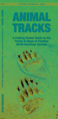 Animal Tracks