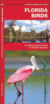 Florida Birds