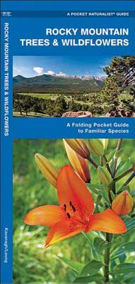 Rocky Mountain Trees and Wildflowers