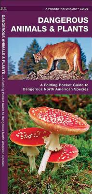 Dangerous Animals & Plants