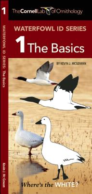 The Cornell Lab of Ornithology Waterfowl ID 1 The Basics