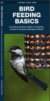 Bird Feeding Basics